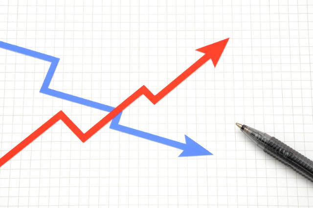 안뇽하세요&아니아